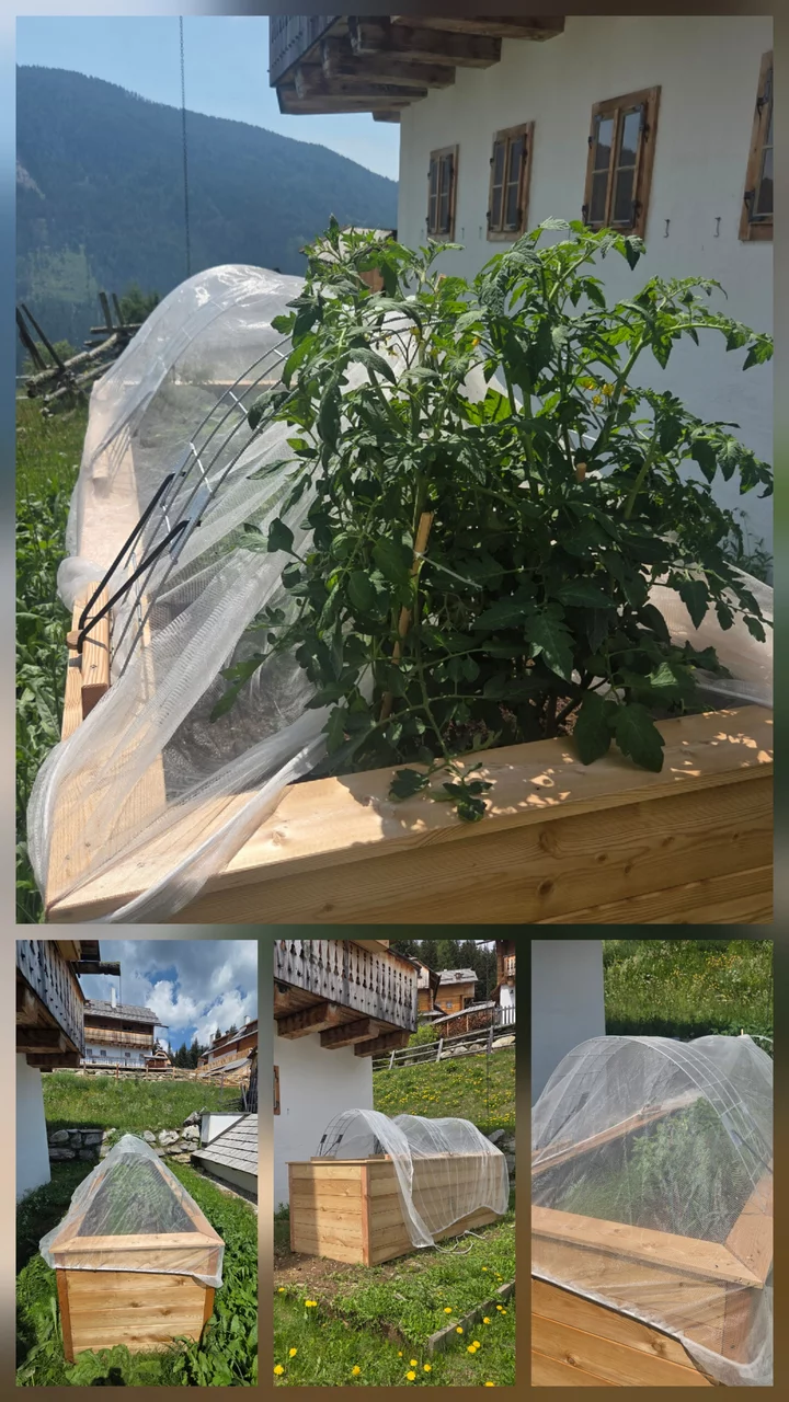 Hochbeet in Lärche